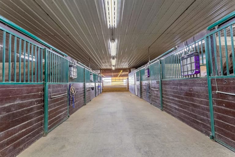 Horse Stables