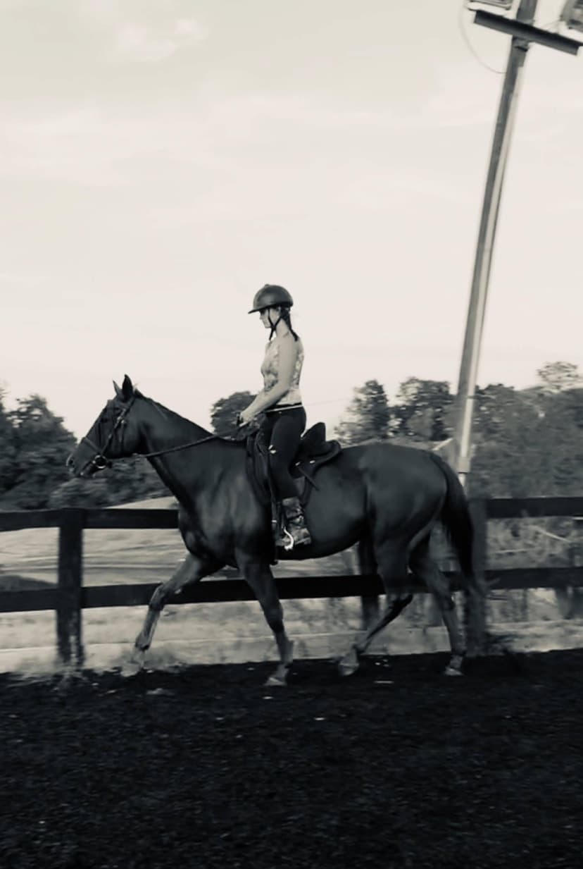 Equestrian Training - Riding